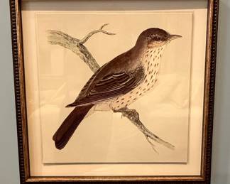 Vintage "Reed Bunting" and "Song Sparrow" Bird Prints
