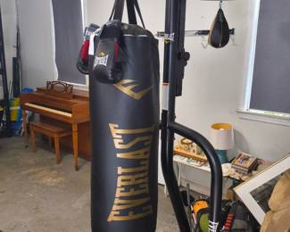 Punching bag and speed bag