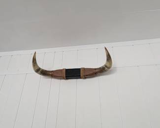 Horns!  