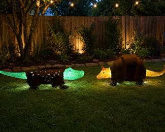 Crocodile and Armadillo night time
