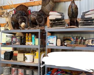 turkey