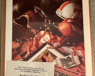 1996 Tennessee Volunteers Football Collector Print by Chatham Fine Art