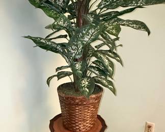 Mahogany Tripod Plant Stand with Leather Top