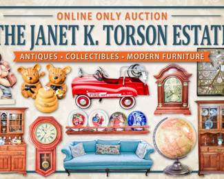 Torson Website Cover