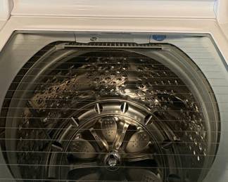 LG WT7900HWA 27 Inch Top Load Smart Washer with 5.5 cu. ft.