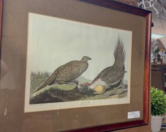 framed bird art
