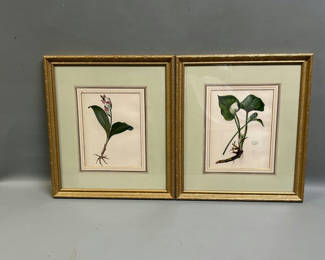 Lot 8: Botanical Floral Lithographs Vol 1 