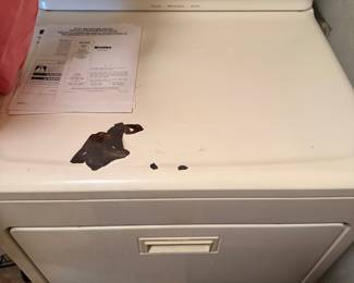 Gas dryer