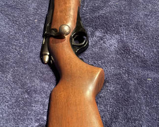 Mossberg 22cal