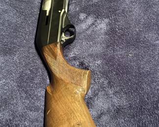 Kawaguchiya 12G