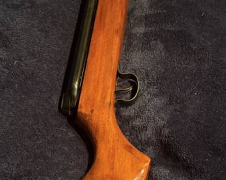 Air rifle