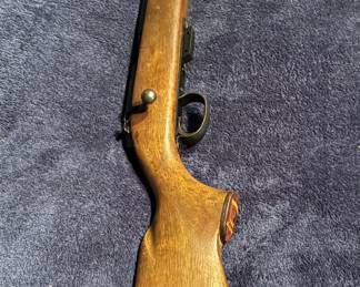 Remington 5mm magnum