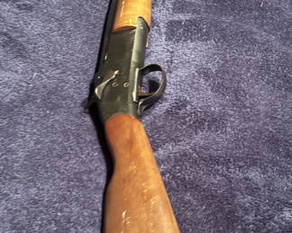 Springfield 22G
