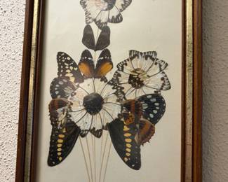 Butterfly Wing Art