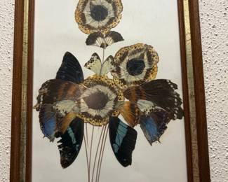Butterfly Wing Art