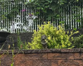 Cast Stone Sitting Lion Garden Statue