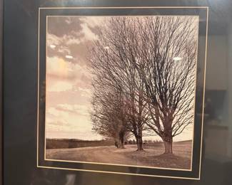 Framed "Solitude" Art Print by David Lorenz Winston
