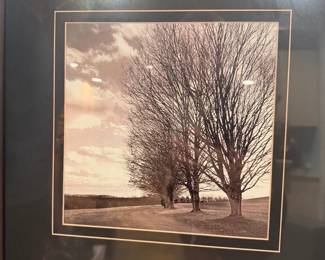 Framed "Solitude" Art Print by David Lorenz Winston