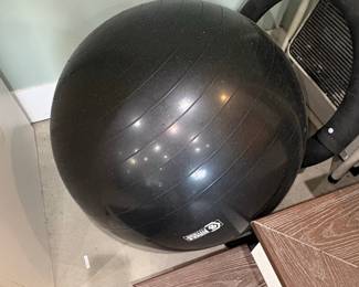 Series-8 Fitness Exercise Ball and Pilates Ring Set