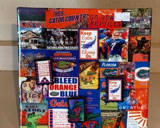 FL Gators magnetic board