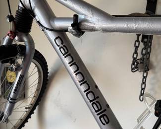 Cannondale F600 bike