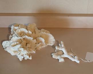 White coral
