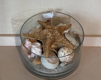 Glass bowl with large seashells and starfish