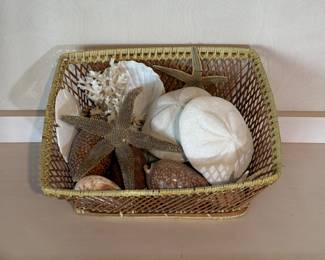 Basket with various sea shells/sea biscuits/sand dollars