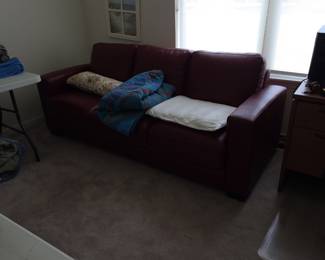 Leather Sleeper sofa