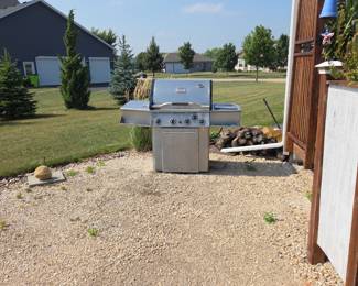 Propane Grill