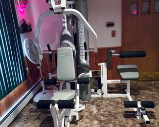 Odyssey 5 Home Gym and Ab/Back