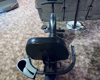 600R True Recumbent Bike