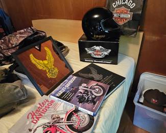 Harley Davidson Books Helmet and Mirror Art