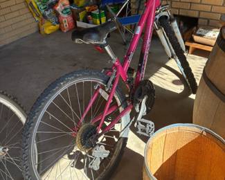 Lustrel Diamondback Girl's bike