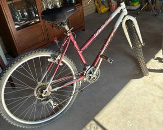 Motiv Stonegrinder Girl's bike
