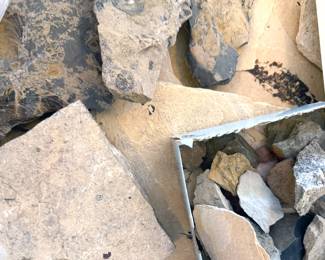 Fossils