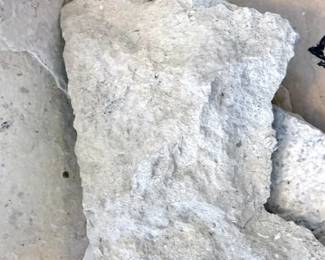 Fossils