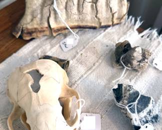 Skulls