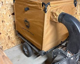 DR Power Equipment Pilot Leaf & Lawn Vacuum