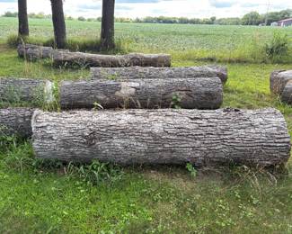 Oak & Cherry Logs 