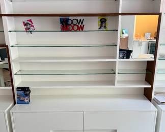 Buy It Now $750.00 Each Shelving for Display of Eyeglasses or Electronics. Buy it Now $500.00 Storage Units for each Shelf Unit