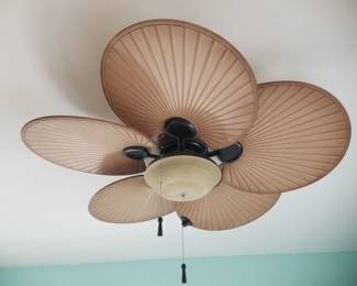 Lighted ceiling fan
