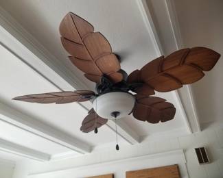 Lighted ceiling fan
