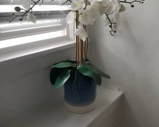 Orchid