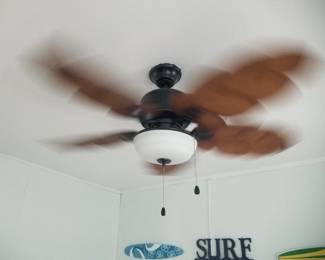 Lighted ceiling fan