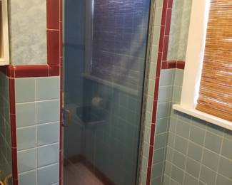 Retro glass shower door
