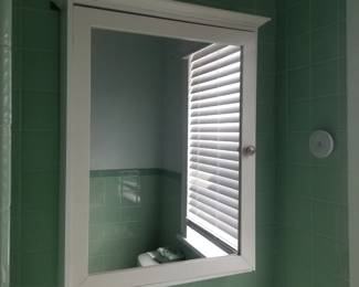 Mirrored medicine cabinet