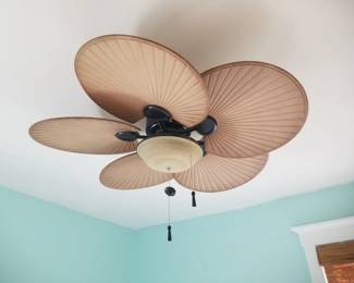 Lighted ceiling fan