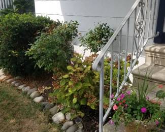 Railing; plants