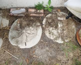 Sand dollar stepping stones - two available